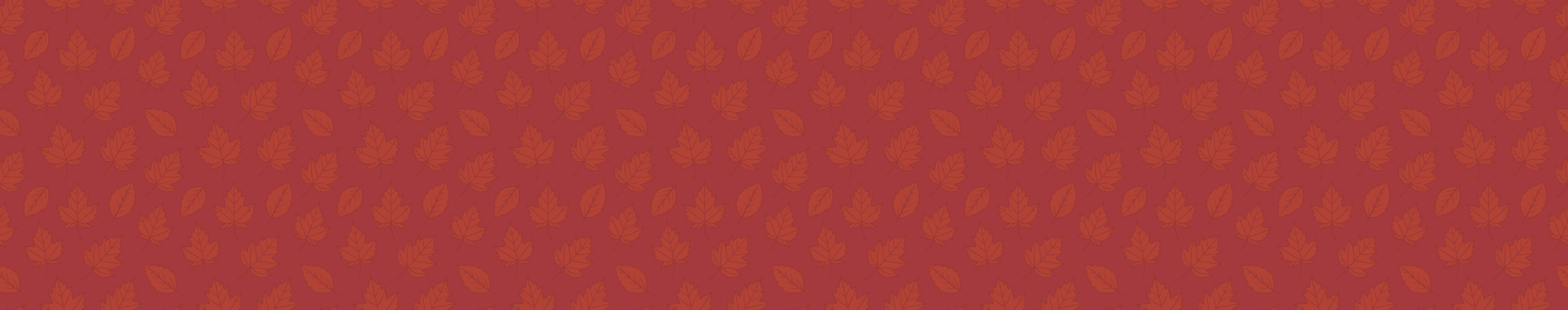 Promo d'Automne SKECHERS CH